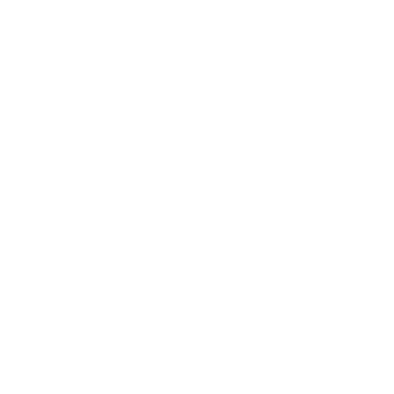 can-am logo