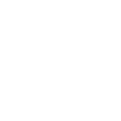 seadoo logo